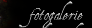 fotogalerie